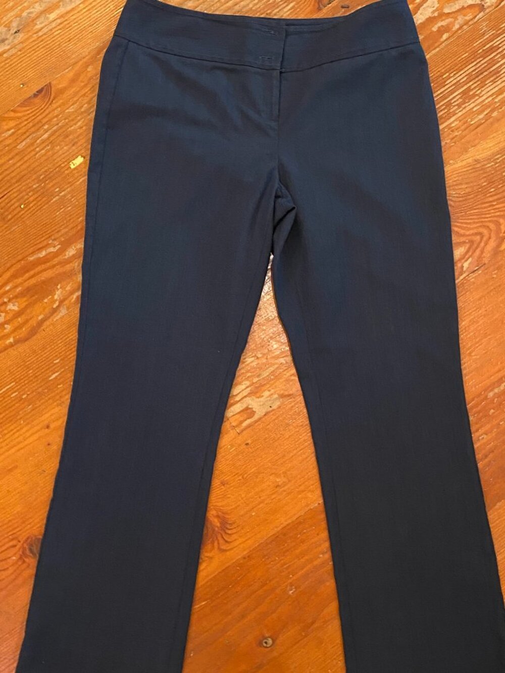 Kenneth Cole navy blue pants size 10